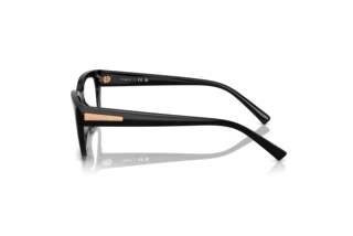 Sidevisning Vogue Eyewear VO5609 (W44)