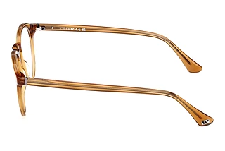 Sidevisning Web Eyewear WE5387 (039)