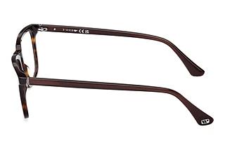 Sidevisning Web Eyewear WE5430 (052)