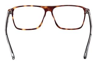 Bagside Web Eyewear WE5442 (056)