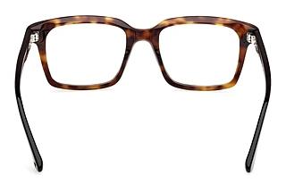 Bagside Web Eyewear WE5452 (055)