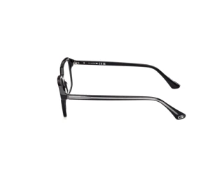 Sidevisning Web Eyewear WE5463 (005)
