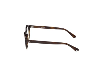 Sidevisning Web Eyewear WE5472 (052)