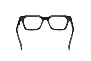 Bagside Zegna EZ5294 (001)