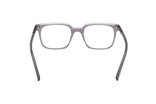 Bagside Zegna EZ5309 (020)