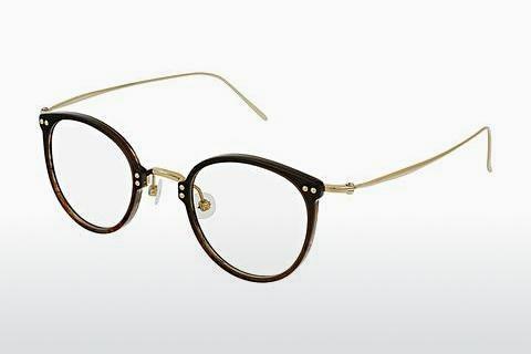 Designer briller Rodenstock R7079 E