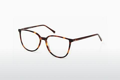 Designer briller Sur Classics Vivienne (12516 havana)