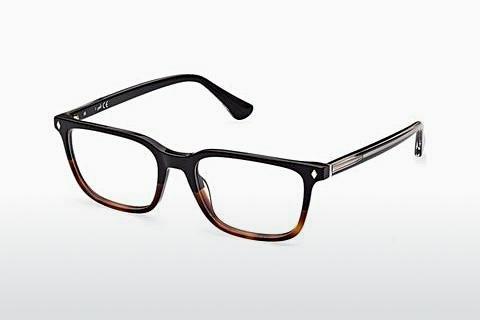 Designer briller Web Eyewear WE5391 056