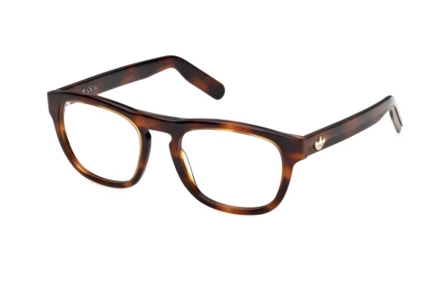 Designer briller Adidas Originals OR5155 052