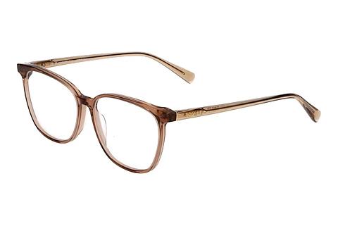 Designer briller Bogner 61018 4967