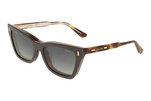 Designer briller Calvin Klein CK25531MAG-SET 242