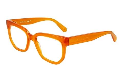 Designer briller Calvin Klein CKJ24615 201