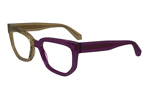 Designer briller Calvin Klein CKJ24615 208
