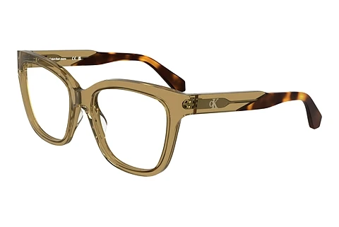 Designer briller Calvin Klein CKJ25616 210