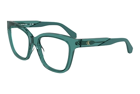 Designer briller Calvin Klein CKJ25616 432