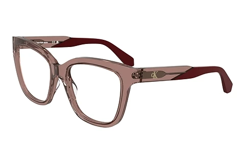 Designer briller Calvin Klein CKJ25616 605