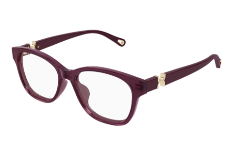 Designer briller Chloé CH0336OA 005