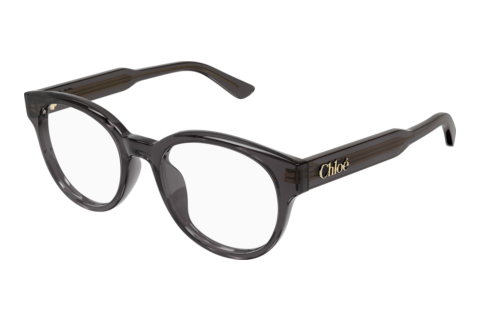 Designer briller Chloé CH0343OA 001