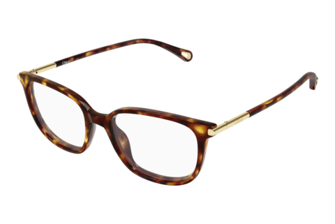 Designer briller Chloé CH0400O 002
