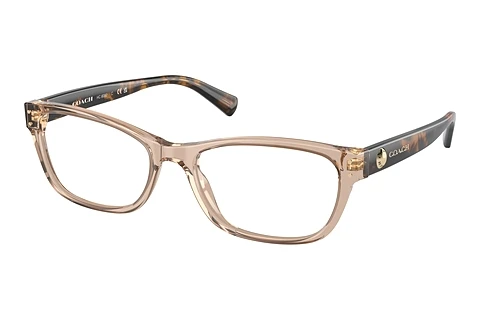 Designer briller Coach HC6082 5561