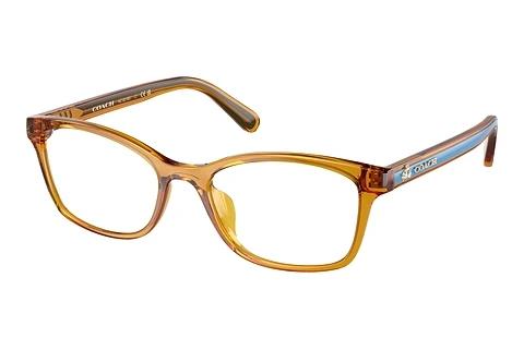Designer briller Coach HC6216U 5748