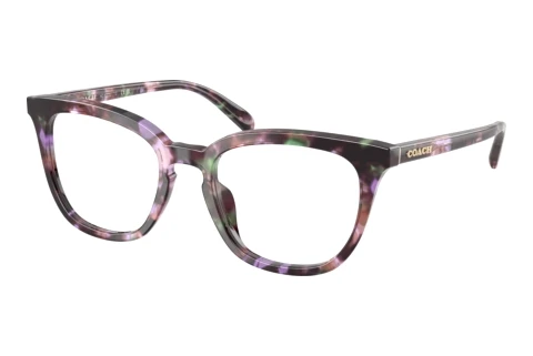 Designer briller Coach HC6222U 5843