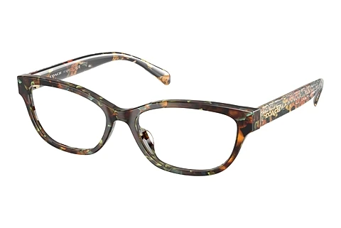 Designer briller Coach HC6250U 5844