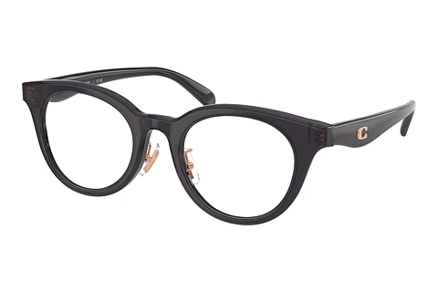 Designer briller Coach HC6280D 5104