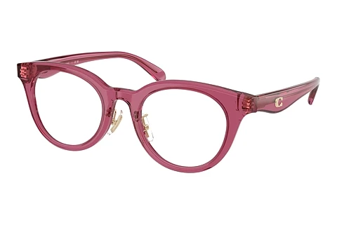 Designer briller Coach HC6280D 5824