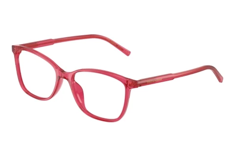 Designer briller Dolce & Gabbana DG3424 1754