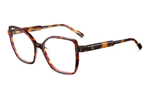 Designer briller Etnia Barcelona ASTY HV