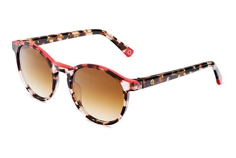 Designer briller Etnia Barcelona AVINYO 3 SUN HVRD