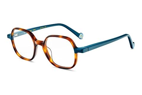 Designer briller Etnia Barcelona CARD HVPT