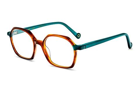 Designer briller Etnia Barcelona DICE HVGR