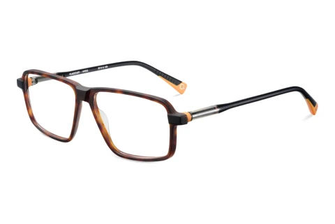 Designer briller Etnia Barcelona FLAGSTAFF HVOG