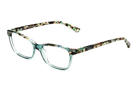 Designer briller Etnia Barcelona HALLE TQBR