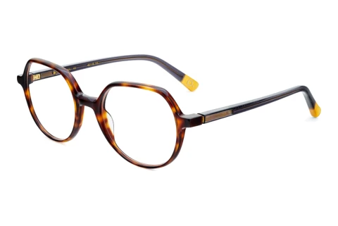 Designer briller Etnia Barcelona ROBIN HV