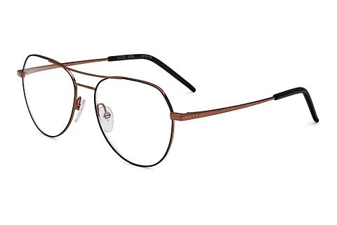 Designer briller Etnia Barcelona WILDE BZBK