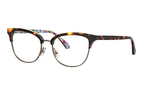Designer briller Kate Spade PAITYN/G H7P