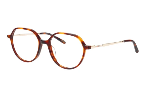 Designer briller Morgan 202039 4884