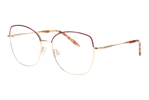 Designer briller Morgan 203274 2100