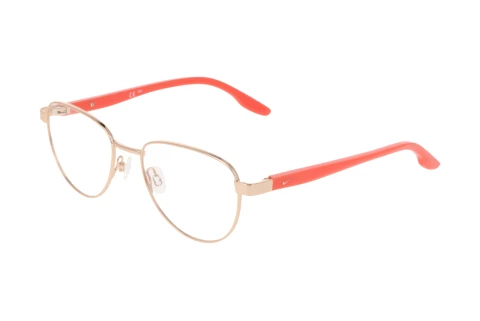 Designer briller Nike NIKE 5401 N 780