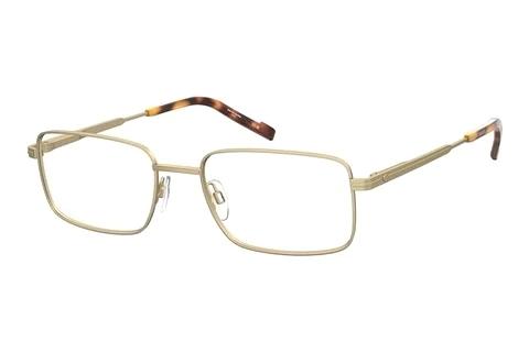 Designer briller Pierre Cardin P.C. 6900 AOZ