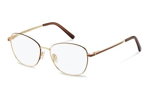 Designer briller Rodenstock R2660 A000