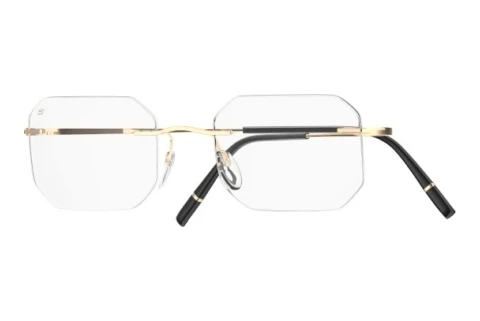 Designer briller Silhouette Titan Minimal Art Stellar (5599-QL 7530)