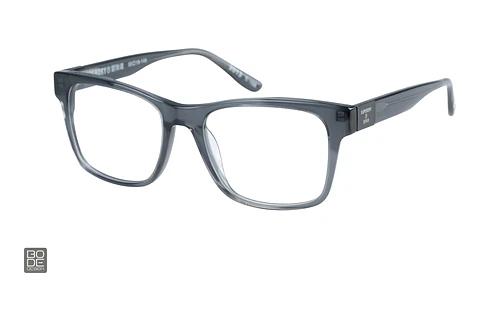 Designer briller Superdry SDO 2013 113