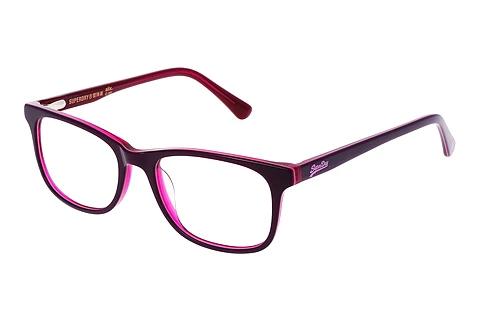 Designer briller Superdry SDO Alix 161