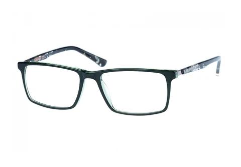 Designer briller Superdry SDO Arno 107