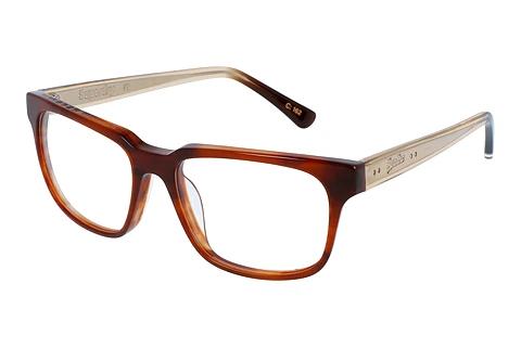 Designer briller Superdry SDO Charli 162