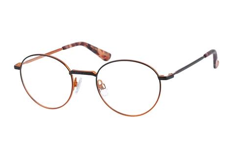 Designer briller Superdry SDO Dakota20 027